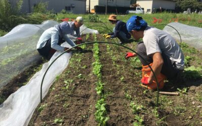 「循環する完熟堆肥畑ワークショップ」開催のお知らせ!