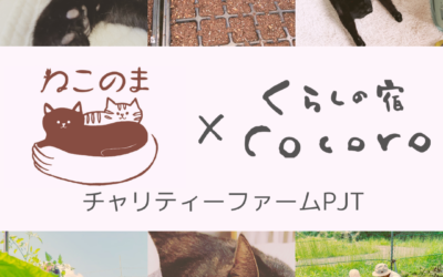 保護猫活動を支えながら家庭菜園を学ぶ。そんな「農のワークショップ」を開催します！