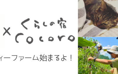 猫とふれ合いながら家庭菜園を学びたい。そんな願いを叶える「農のワークショップ」を開催します！