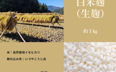 自然栽培白米麹のご予約開始のお知らせ